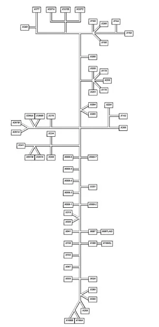 87711998 - разъем